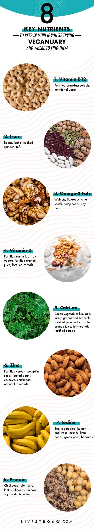 graphic of nutrients important for vegan nutrition