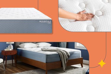 collage of molecule hybrid mattress photos on an orange background
