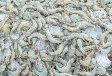 shrimp,
